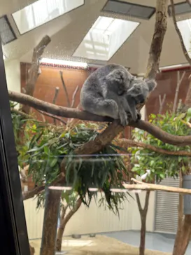 こども動物自然公園（埼玉県公園緑地協会）に投稿された画像（2026/5/26）