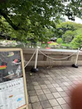東京国立博物館に投稿された画像（2026/5/26）