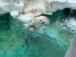 恩賜上野動物園に投稿された画像（2026/5/26）