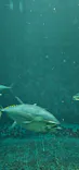 葛西臨海水族園に投稿された画像（2026/5/26）