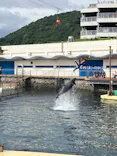 鴨川シーワールドに投稿された画像（2026/5/26）
