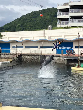 鴨川シーワールドに投稿された画像（2026/5/26）