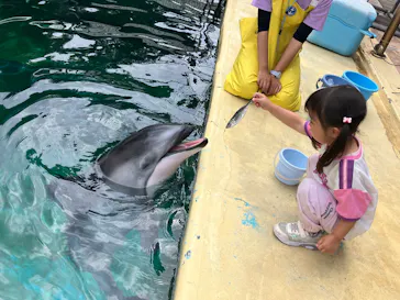 鴨川シーワールドに投稿された画像（2026/5/26）