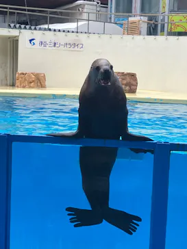 鴨川シーワールドに投稿された画像（2026/5/26）