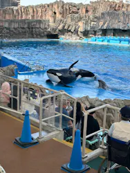 名古屋港水族館に投稿された画像（2026/5/26）