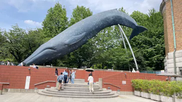 国立科学博物館に投稿された画像（2026/5/26）