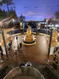 福井県立恐竜博物館に投稿された画像（2026/5/26）