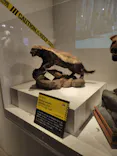 特別展「超危険生物展　科学で挑む生き物の本気」に投稿された画像（2026/5/26）