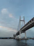 東京湾夜景クルーズ＜横浜港→東京（竹芝桟橋）＞に投稿された画像（2026/5/26）