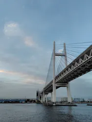 東京湾夜景クルーズ＜横浜港→東京（竹芝桟橋）＞に投稿された画像（2026/5/26）