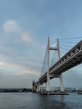 東京湾夜景クルーズ＜横浜港→東京（竹芝桟橋）＞に投稿された画像（2026/5/26）