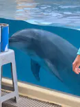 新江ノ島水族館に投稿された画像（2026/5/27）
