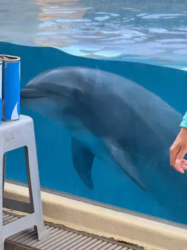 新江ノ島水族館に投稿された画像（2026/5/26）