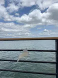 レークウエストヨットクラブに投稿された画像（2026/5/27）