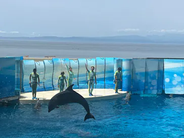 新江ノ島水族館に投稿された画像（2026/5/27）