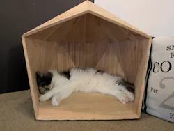 猫カフェモカ　池袋東口店に投稿された画像（2026/5/27）
