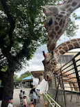 宇都宮動物園に投稿された画像（2026/5/27）