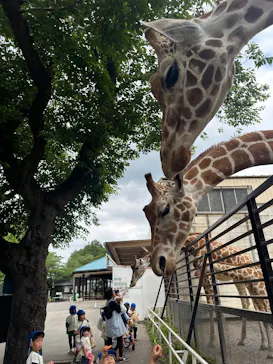 宇都宮動物園に投稿された画像（2026/5/27）