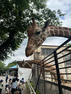 宇都宮動物園に投稿された画像（2026/5/27）