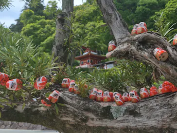 勝尾寺に投稿された画像（2026/5/27）