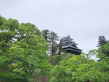 松江城に投稿された画像（2026/5/27）