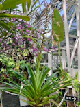 名古屋市東山動植物園に投稿された画像（2026/5/27）