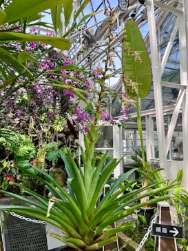 名古屋市東山動植物園に投稿された画像（2026/5/27）
