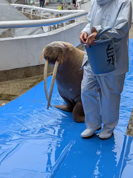 大分マリーンパレス水族館 「うみたまご」に投稿された画像（2026/5/27）