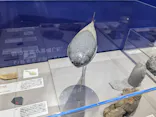 大絶滅展ー生命史のビッグファイブ（名古屋会場）に投稿された画像（2026/5/27）