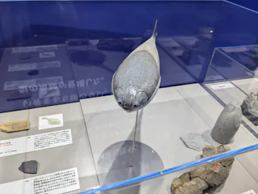 大絶滅展ー生命史のビッグファイブ（名古屋会場）に投稿された画像（2026/5/27）