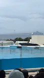 沖縄美ら海水族館に投稿された画像（2026/5/27）