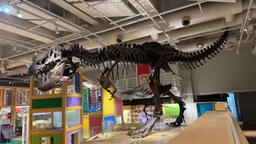 国立科学博物館に投稿された画像（2026/5/27）