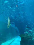 名古屋港水族館に投稿された画像（2026/5/27）