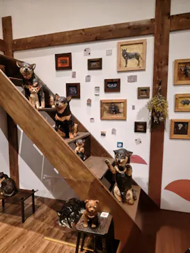 はしもとみお木彫展 いきものたちとの旅（氷見市芸術文化館）に投稿された画像（2026/5/27）