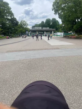 恩賜上野動物園に投稿された画像（2026/5/27）