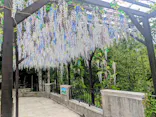 箱根ガラスの森美術館に投稿された画像（2026/5/27）