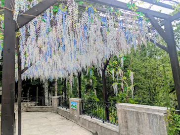 箱根ガラスの森美術館に投稿された画像（2026/5/27）