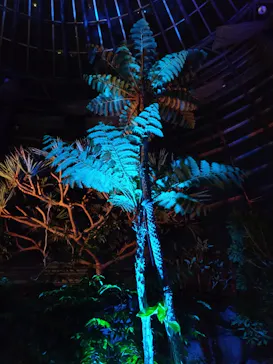 BOTANICA MUSEUMに投稿された画像（2026/5/27）