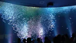 名古屋港水族館に投稿された画像（2026/5/27）