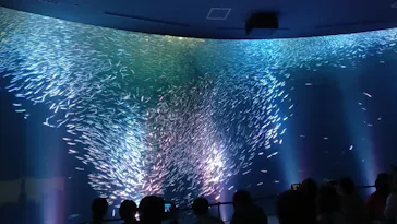 名古屋港水族館に投稿された画像（2026/5/27）