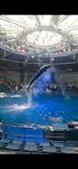 マクセル アクアパーク品川に投稿された画像（2026/5/28）