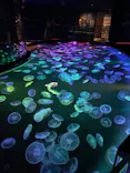 すみだ水族館に投稿された画像（2026/5/28）