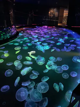 すみだ水族館に投稿された画像（2026/5/27）