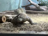名古屋市東山動植物園に投稿された画像（2026/5/28）