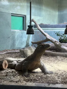 名古屋市東山動植物園に投稿された画像（2026/5/27）