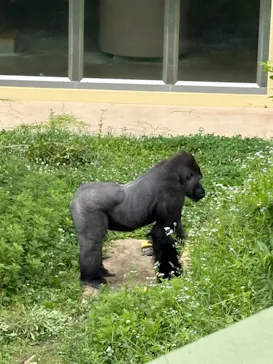 名古屋市東山動植物園に投稿された画像（2026/5/27）