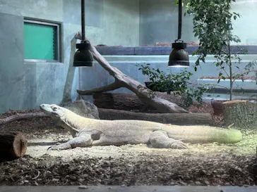 名古屋市東山動植物園に投稿された画像（2026/5/27）