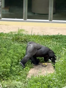 名古屋市東山動植物園に投稿された画像（2026/5/27）