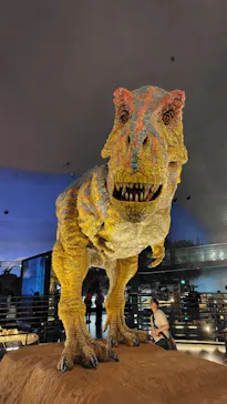 福井県立恐竜博物館に投稿された画像（2026/5/28）