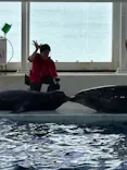 アクアワールド茨城県大洗水族館に投稿された画像（2026/5/28）